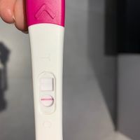 Per chi non le aspetta per febbraio 2020 - 1