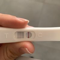 Per chi non le aspetta per febbraio 2020 - 1