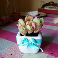 Segnaposto: mostratemi i vostri. - 1