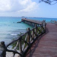 Viaggio di nozze a Zanzibar - 3