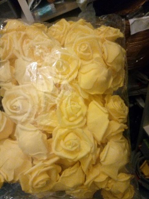 Consiglio sulle Rose - 1