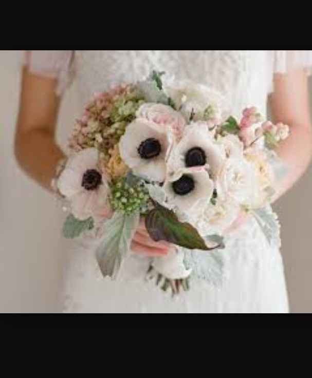 Fiori a febbraio - 1