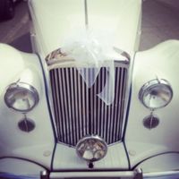 Finalmente marito e moglie!!! - 1