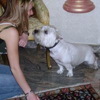 io e Rox