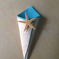 Cono portariso