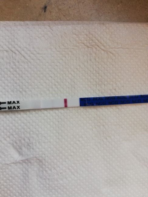 💝🎄🎉🎅🎁chi non le aspetta per dicembre 2019🎅🎁🎉🎄 - 1