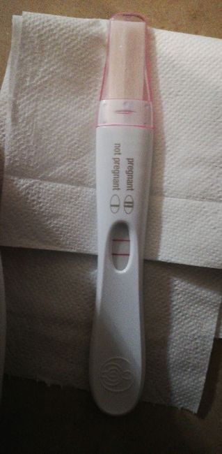 💝🎄🎉🎅🎁chi non le aspetta per dicembre 2019🎅🎁🎉🎄 - 1