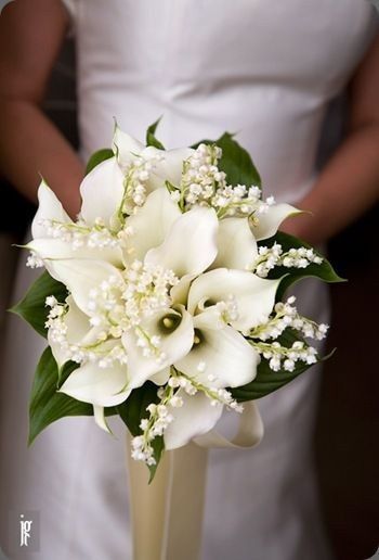 Bouquet help me! - 6