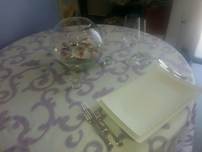 La mia torta e il tovagliato - 2