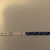 Chi non le aspetta per Giugno 2022 🌻🤰🏻♥️ - 1