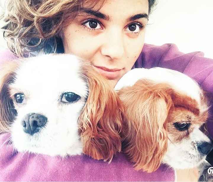 Animali domestici - 3