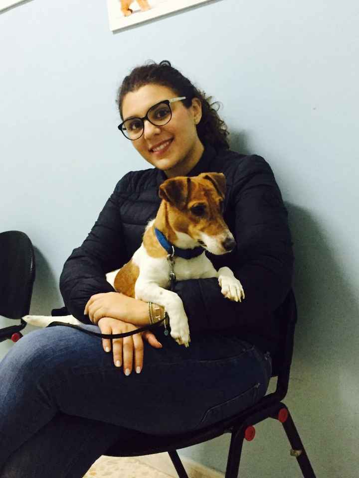 Compagno a 4 zampe? - 1