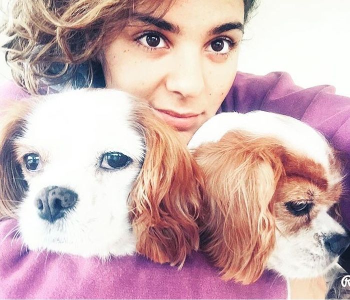 Animali domestici - 3