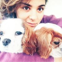 Cuccioli di casa... - 2