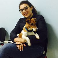 Compagno a 4 zampe? - 1