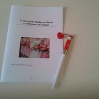 IL MANUALE DELLA PERFETTA TESTIMONE DI NOZZE