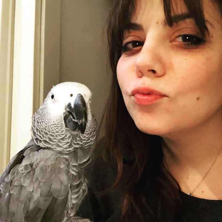 Collaboratori pelosi ❤️ - 2