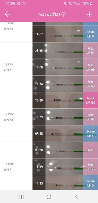 temperatura basale 3