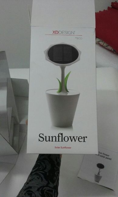 Regalo testimoni - 1