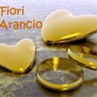 Fiori d'Arancio Wedding Planner