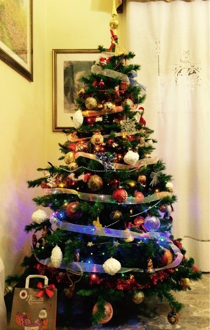 Il nostro albero - 1