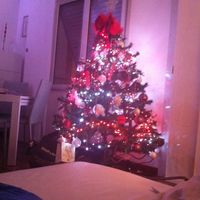 Alberi di Natale - 1