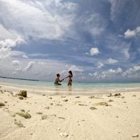 Proposta di nozze: avete immortalato il momento? - 1