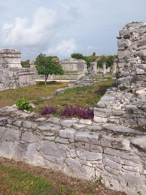 Viaggio di nozze Messico 6