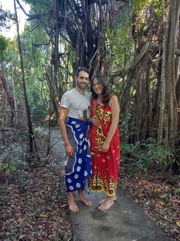 Viaggio di nozze - 4