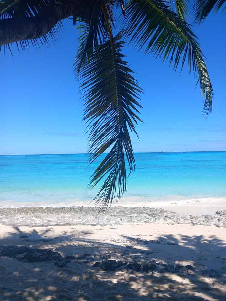 Viaggio di nozze - 3