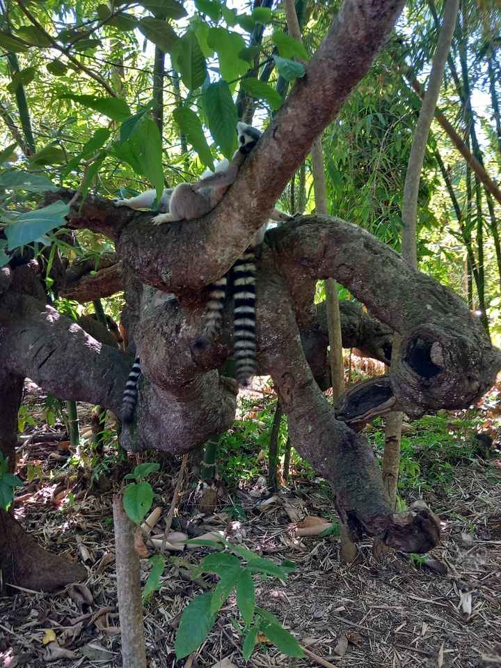 Luna di miele 🍯 ❤️ - 2