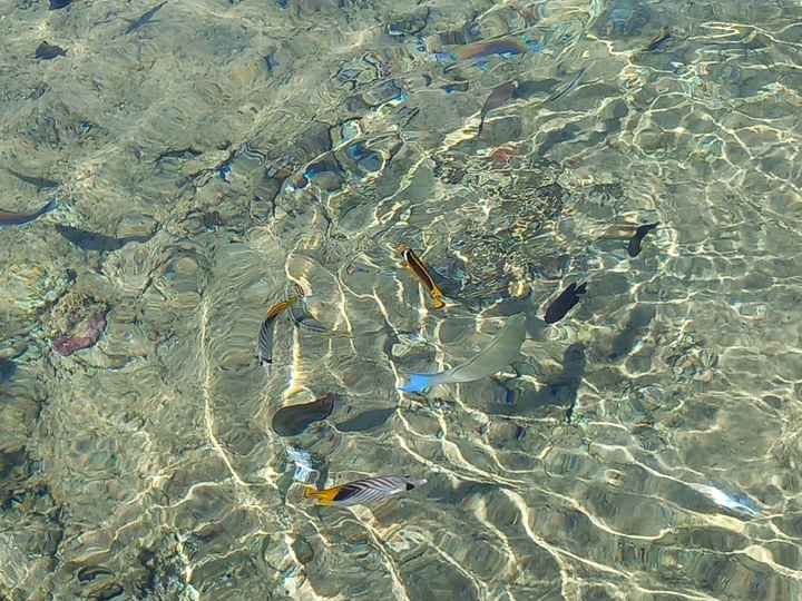 Luna di miele in Egitto - 1