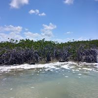 Viaggio di nozze Messico - 4