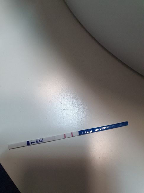 Chi non le aspetta per Marzo 2020 - 1