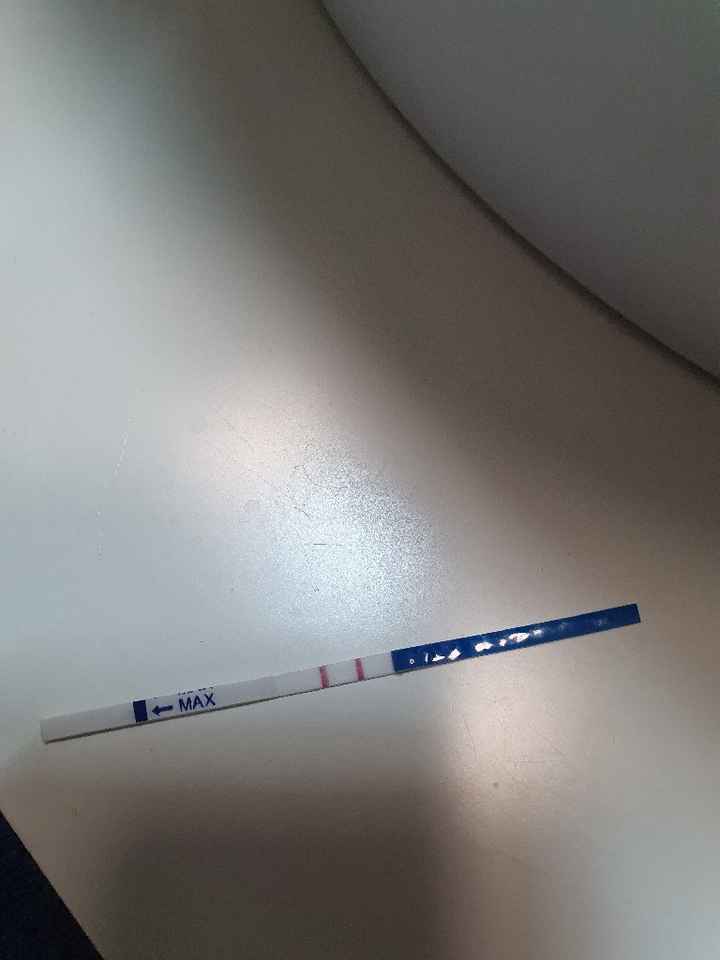 Chi non le aspetta per Marzo 2020 - 1