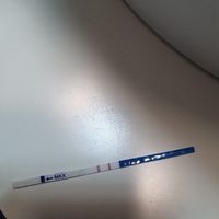 Chi non le aspetta per Marzo 2020 - 1