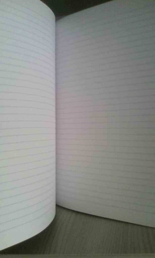 La mia agenda per le nozze - 1