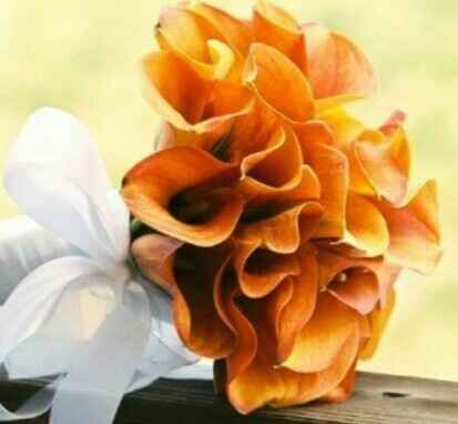 Crisi bouquet! - 2