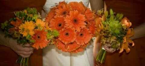 Crisi bouquet! - 3