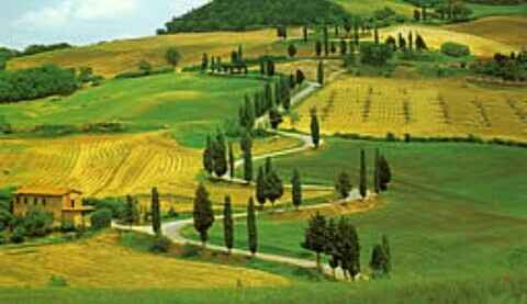 Scelta viaggio di nozze - 15