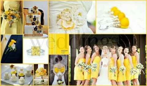 Il colore del matrimonio - 6