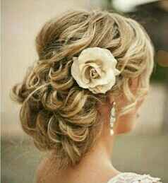 Consiglio raccolto: quale preferite? - 2