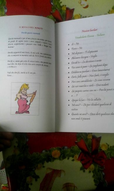 Ecco il mio manuale del perfetto maritino!! - 3
