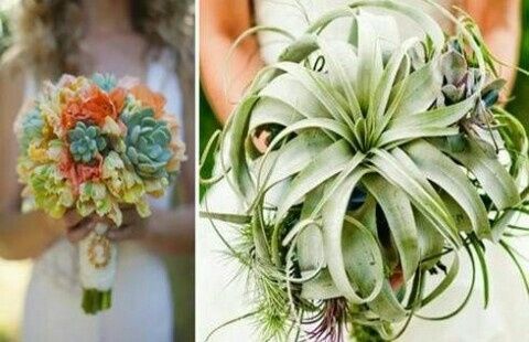 Curiosando nel mondo delle nozze-bouquet - 15