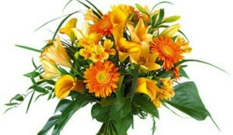 Crisi bouquet! - 1
