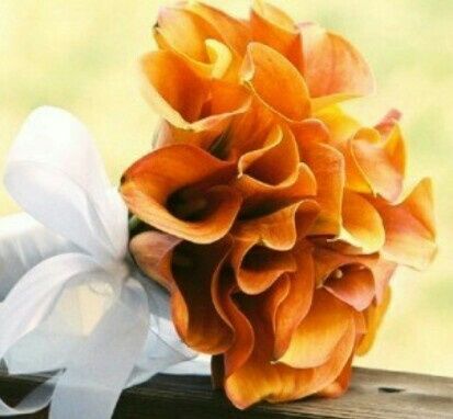 Crisi bouquet! - 2