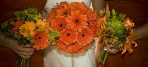 Crisi bouquet! - 3