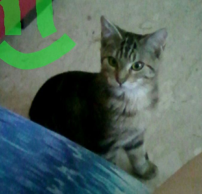 Ora siamo in 5 :-) - 1