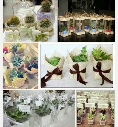 Mi date qualche idea? - 1