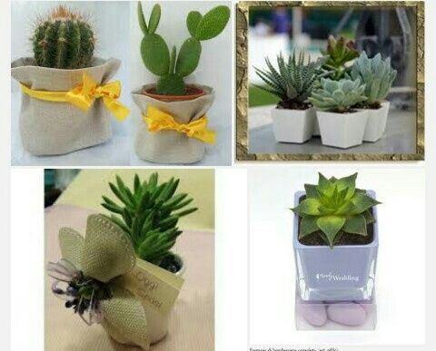 Mi date qualche idea? - 3